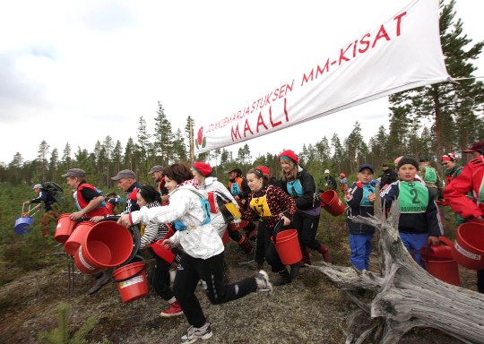 suomussalmi berrypicking 1
