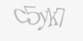 Защитный код