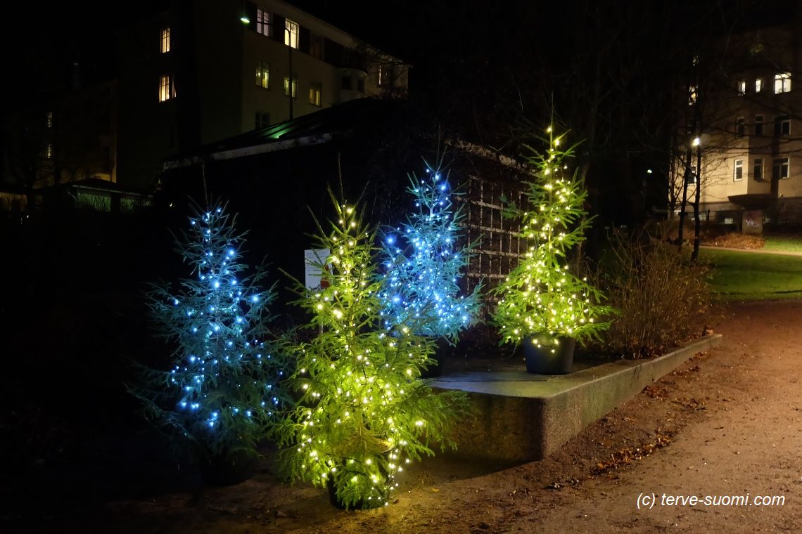 Котка: новогоднее настроение