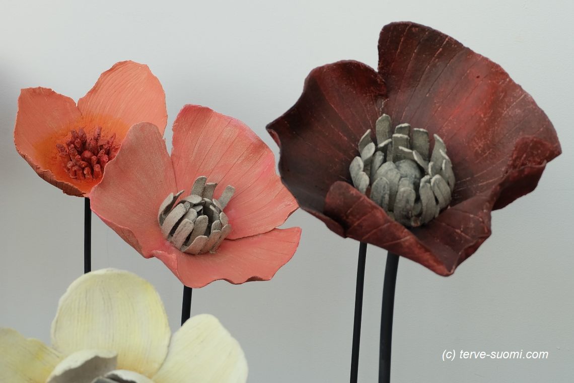 Три вселенные Ану Пентик