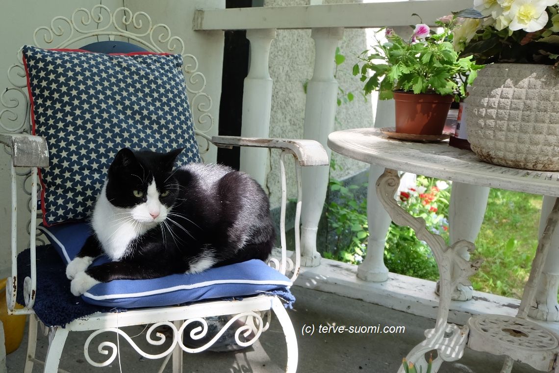 Где остановиться в Иматре