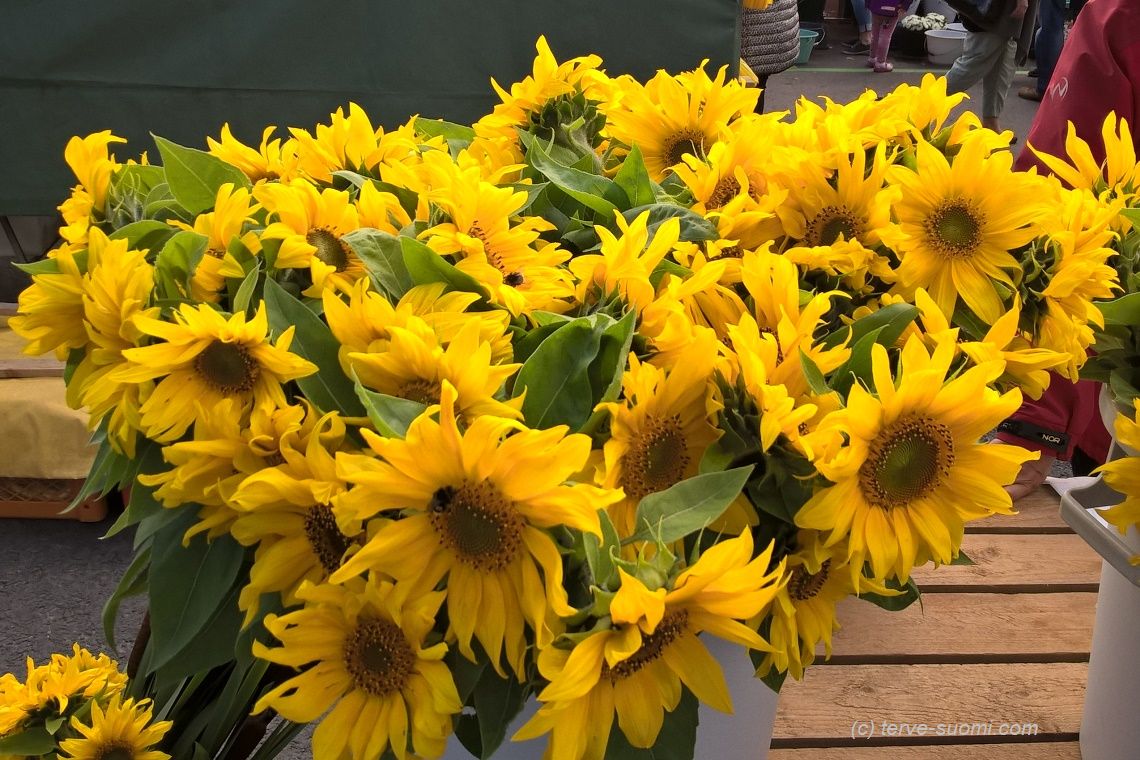 На рынок в Лаппеенранту, или Где купить водород и атом