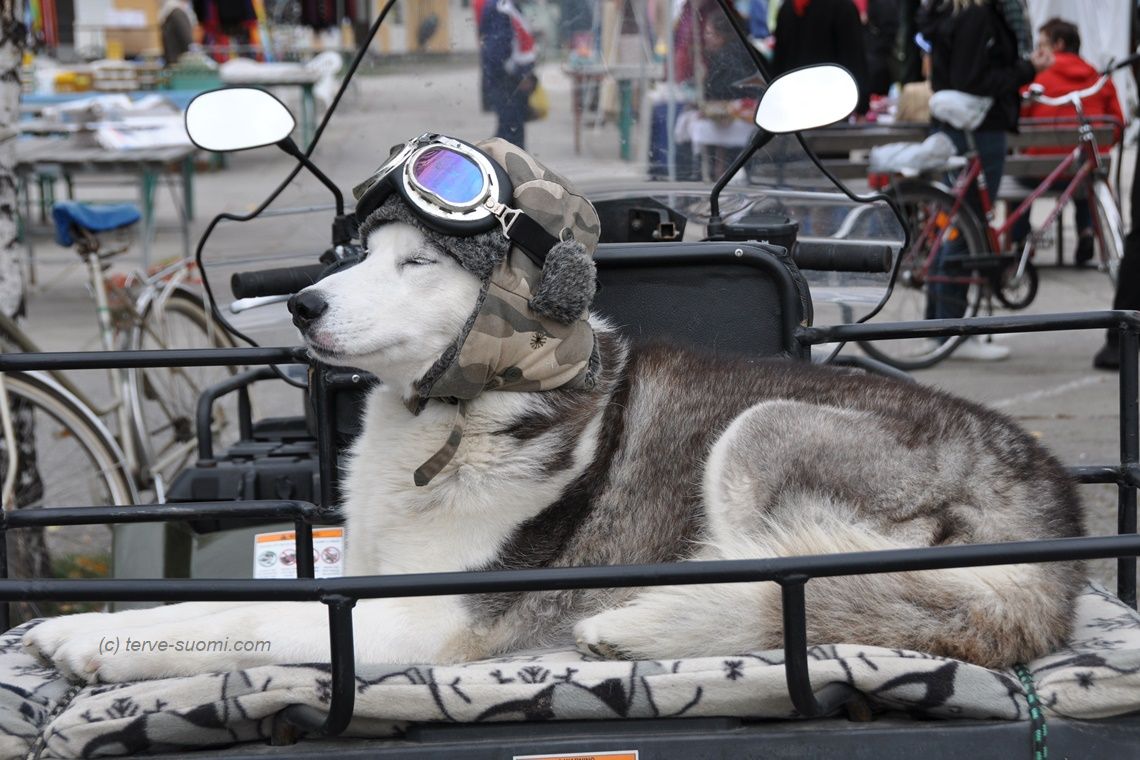 Нурмес: все дороги ведут на ярмарку