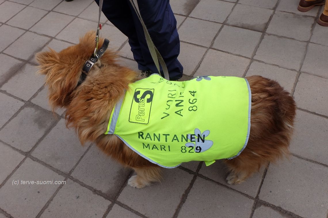 Последний день, или Про агитацию на финских выборах 