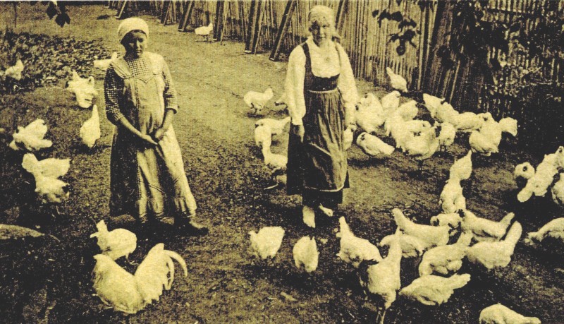 «Куриная» вечеринка в Тиккурила, или Чем занимаются «Марты»